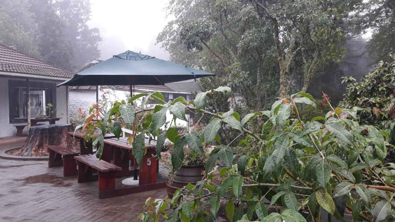 Kings Lodge Hotel Hogsback Exterior foto