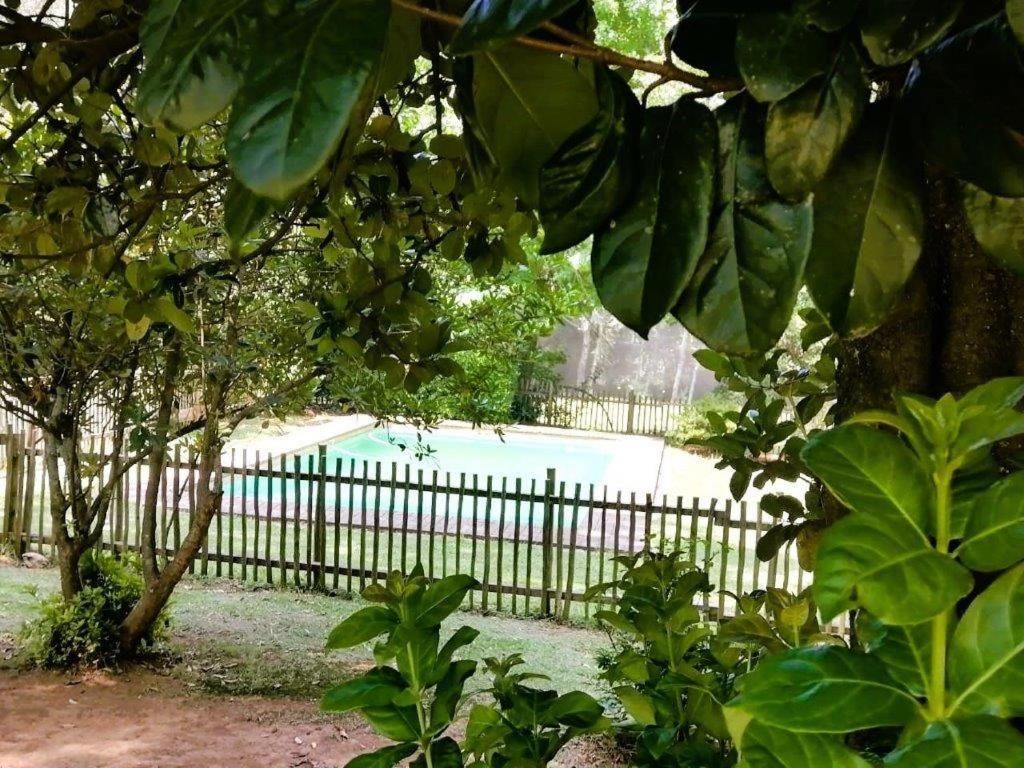 Kings Lodge Hotel Hogsback Exterior foto