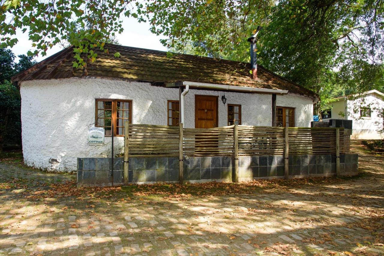 Kings Lodge Hotel Hogsback Exterior foto