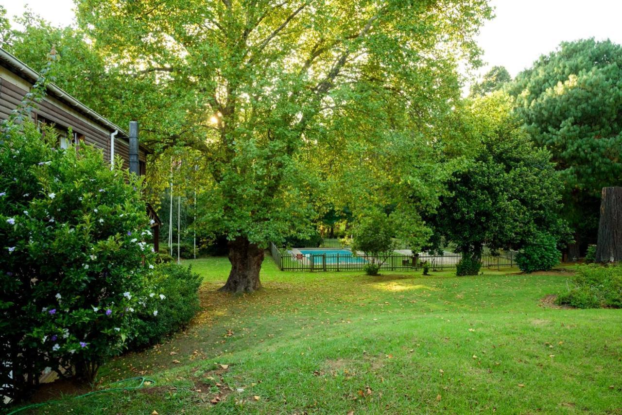 Kings Lodge Hotel Hogsback Exterior foto